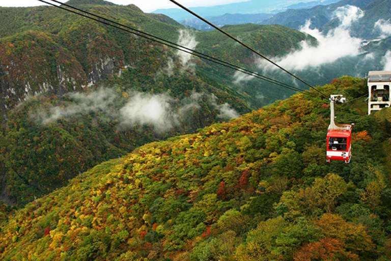 Tóquio: Viagem privada de 1 dia a Nikko com visita ao Santuário Toshogu