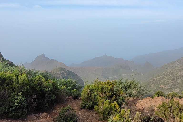 Teno: Circular hike from Erjos over the mountain ridge with views of Masca