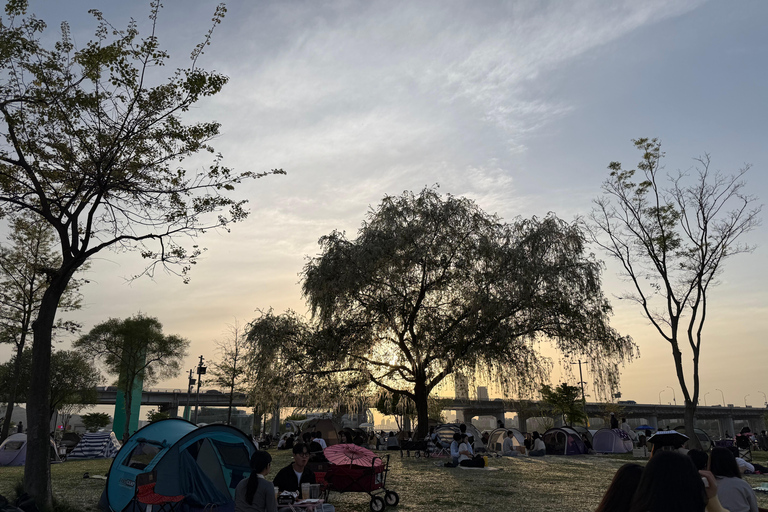 Seoul: Han River Sunset Picnic with Food and Night Walk