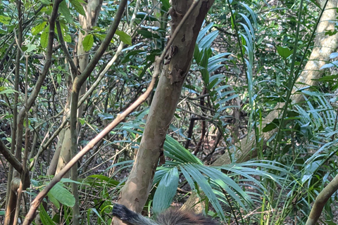 桑给巴尔石头城徒步导览和乔扎尼森林