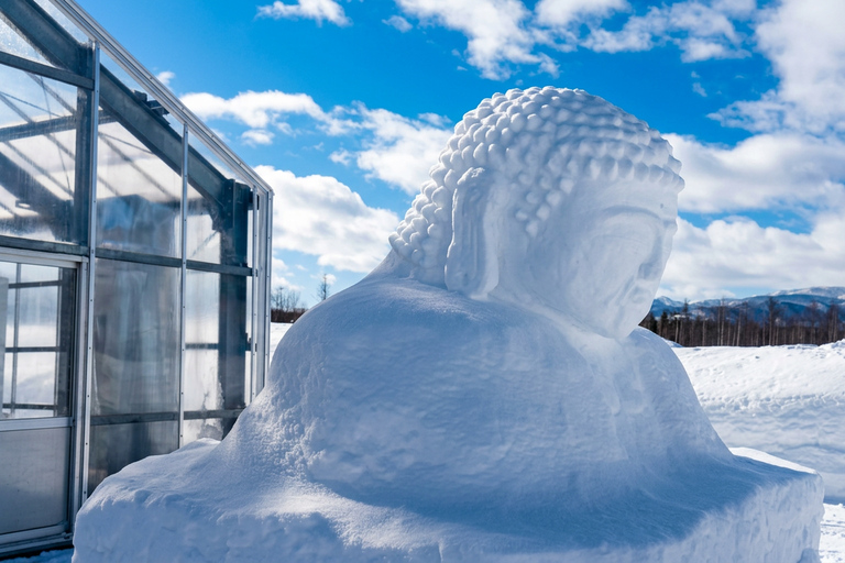 Sapporo: Hill of the Buddha, Otaru Canal&Mt. Tengu Panoramas