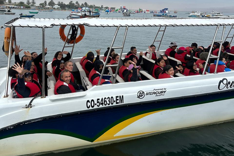 From Lima: Full-Day Paracas, Ica & Huacachina Adventure From Lima: Full day Paracas-Ica-Huacachina