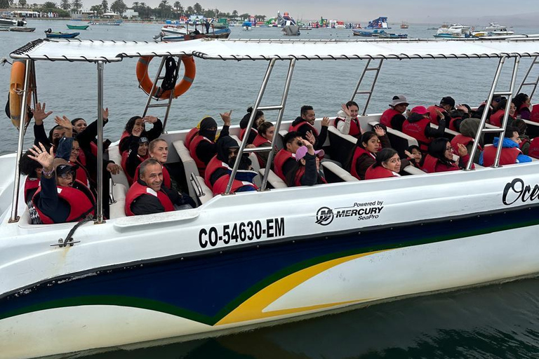 From Lima: Full-Day Paracas, Ica & Huacachina Adventure From Lima: Full day Paracas-Ica-Huacachina