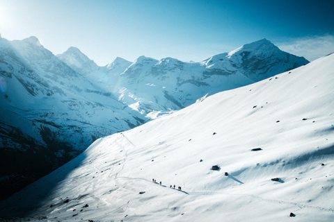 Circuit court de l'Annapurna - 10 jours