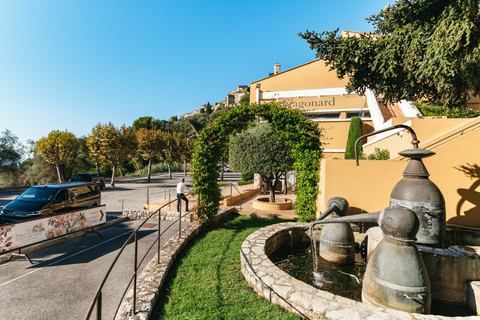 Desde Niza: Excursión de medio día a Eze, Mónaco y MontecarloTour no privado