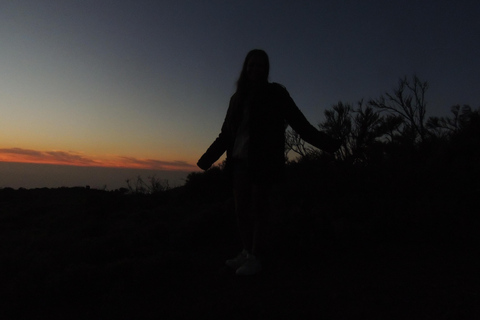 Tenerife: Excursión en Quad al Teide al Atardecerquad para dos personas