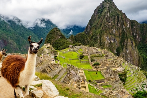 Stadstour door Cusco, Heilige Vallei en Machupicchu: privérondleidingenStadstour, Heilige Vallei en Machupicchu: privérondleidingen