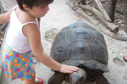 桑给巴尔：监狱岛私人观光（含观赏乌龟）桑给巴尔：监狱岛私人观光