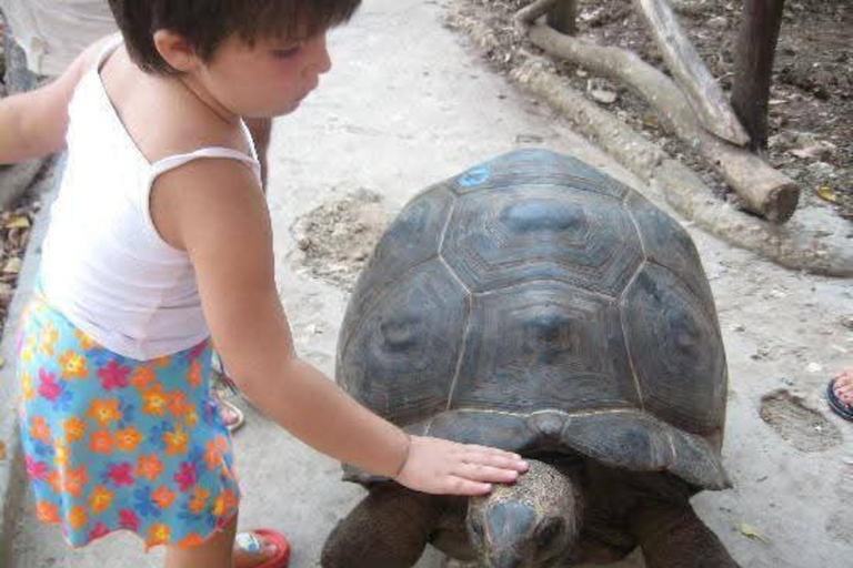 桑给巴尔：监狱岛私人观光（含观赏乌龟）桑给巴尔：监狱岛私人观光