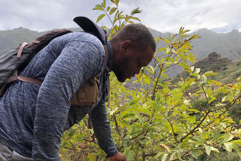 Serra Malagueta : Hike Natural Park with Kapok Tree Visit Private Tour