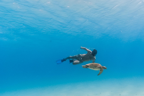 All-inclusive Snorkel in Balandras Hidden beaches, La Paz