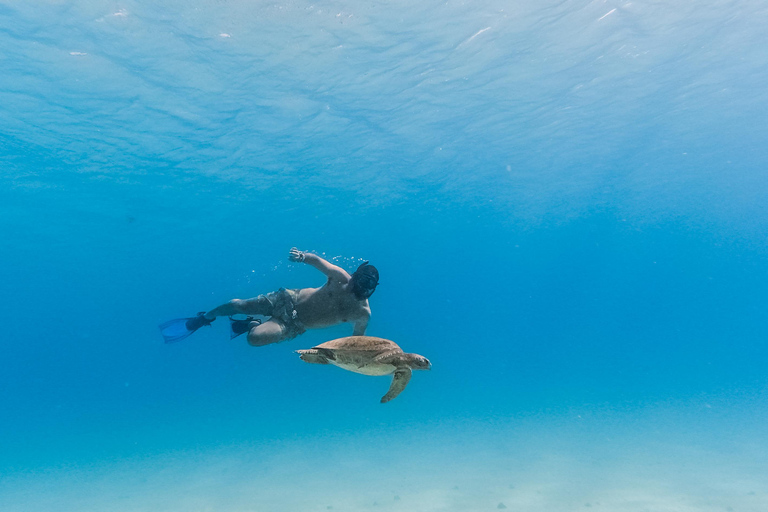 All-inclusive Snorkel in Balandras Hidden beaches, La Paz