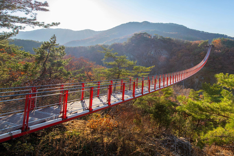 DMZ Private Tour 3rd Tunnel & with Suspension Bridge Private Group (UP to 6 People) Hotel Pickup & Dropoff