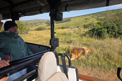 Half-Day Schotia Game Reserve (Open 4x4 Vehicle)
