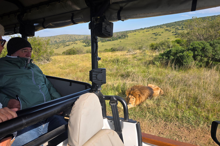 Half-Day Schotia Game Reserve (Open 4x4 Vehicle)