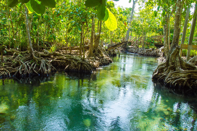 Ko Lanta: Privé ontdekkingstocht - mangroven, oude stad &amp; strandenPrivé Ontdekkingstour