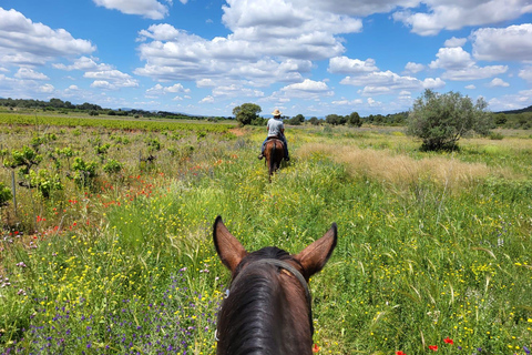 Discover the interior of Valencia on horseback