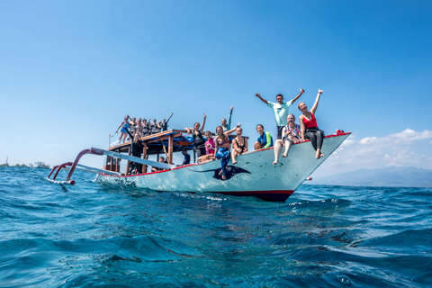 Gili Trawangan : Découverte de la plongée sous-marine