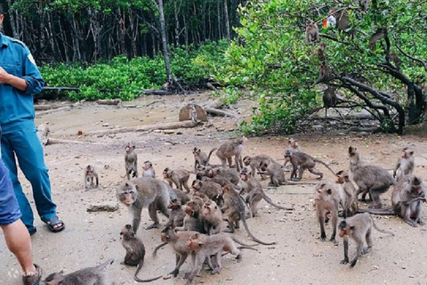 Visite d&#039;une jounée de la forêt de mangroves de Can Gio et de l&#039;île aux singes