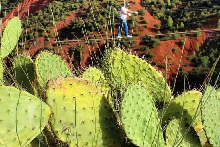 Zipline- och frukostupplevelse i AtlasbergenMarrakech, Atlasbergen Zipline- och frukosttur i Atlasbergen