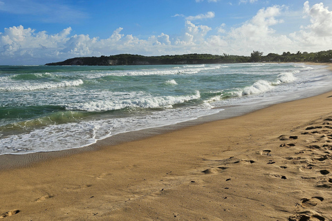 Tour individuale di una giornata intera &quot;Land &amp; People&quot; - da/per Bávaro/Punta Cana