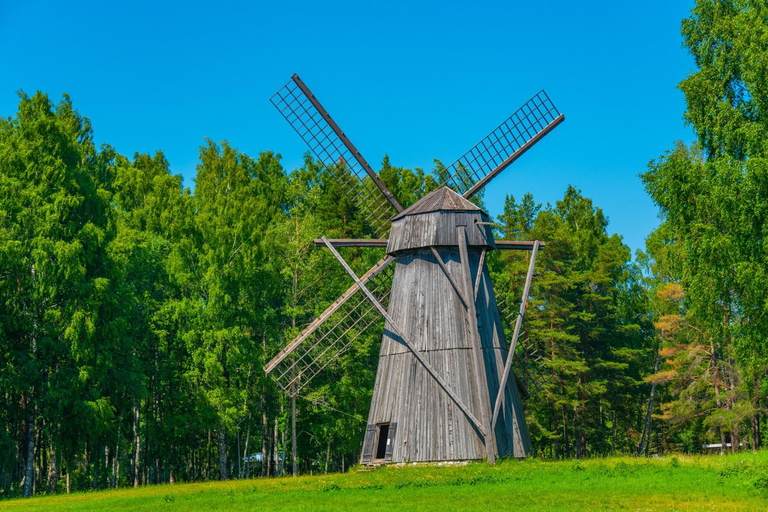 Skip-the-Line Estonian Open Air Museum Private Guided Tour 2-hour: Estonian Art Museum Tour