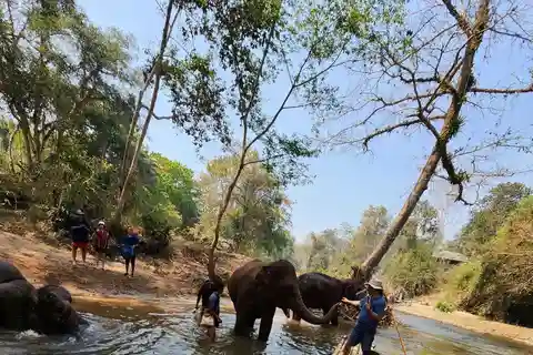 Chiang Mai: Bamboo Rafting and Wat Phra That Doi Kham