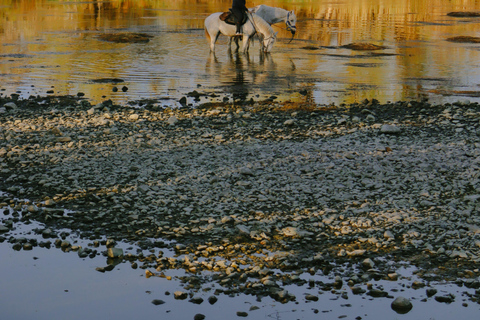 Sedona: Vineyard & Canyon Horseback Experience