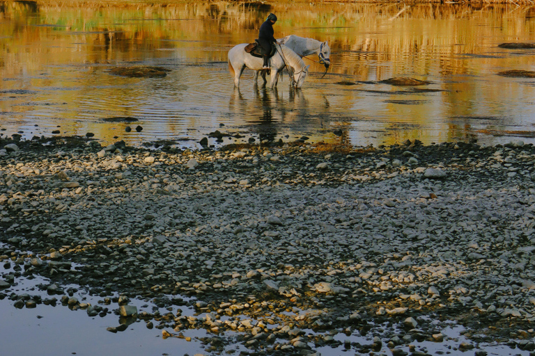 Sedona: Vineyard & Canyon Horseback Experience