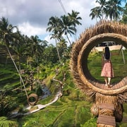 Ubud: Private Journey with Japanese-Speaking Guide & Spa Ubud: Private Journey with Japanese-Speaking Guide & Spa