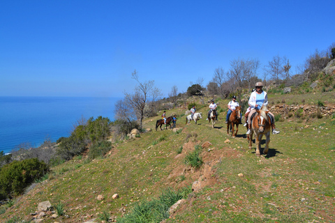 Alanya: Horse Riding Club Transfer Service For Alanya Center Oba Mahmutlar Location