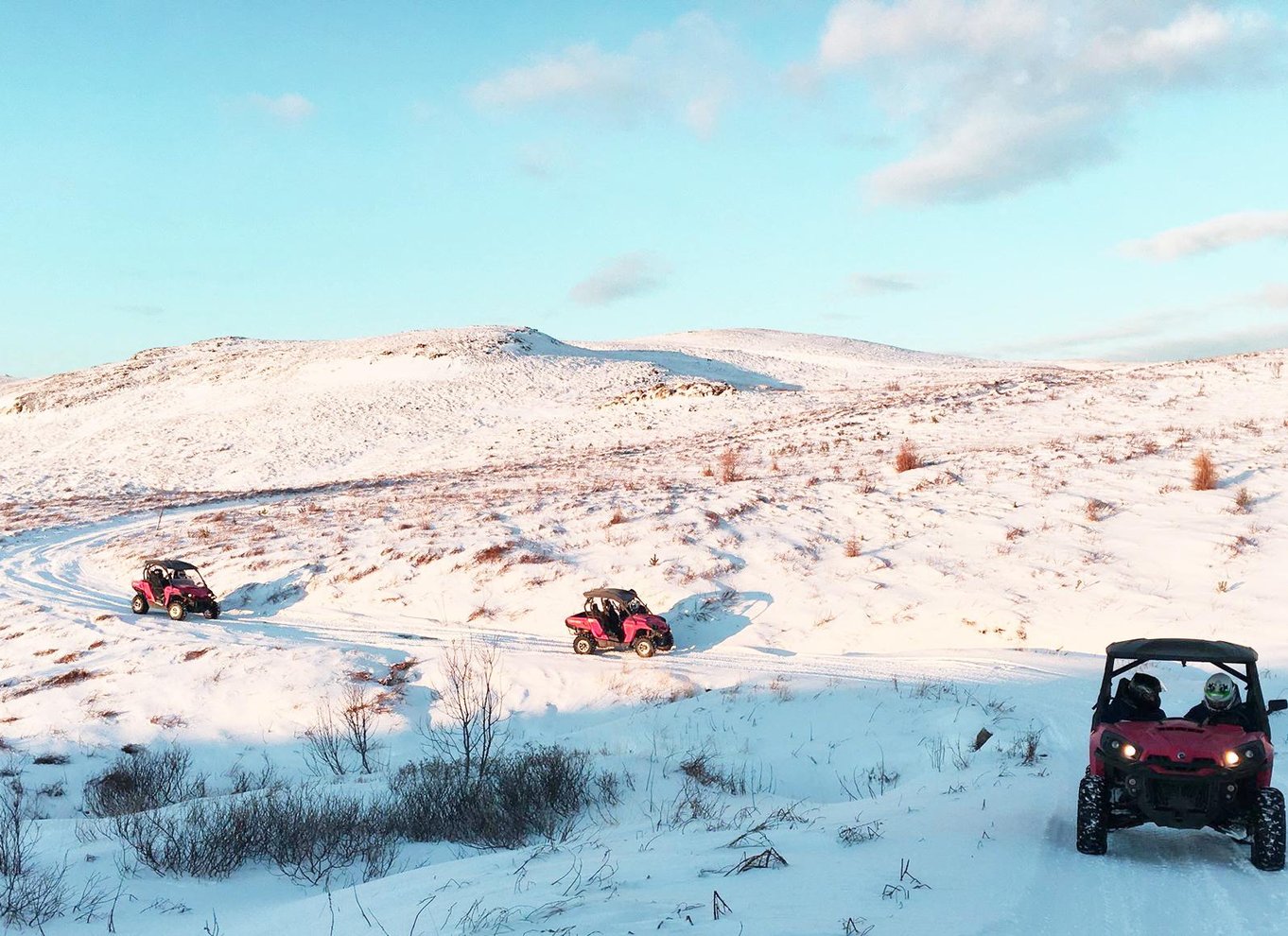 Reykjavik: Buggy-safari-tur med hoteltransport