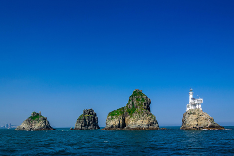 Busan Full-Day Private Tour with Daily Chauffeur