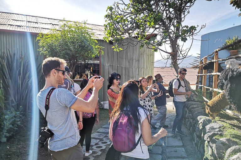 Arequipa: City Walking Tour Monumental in Arequipa