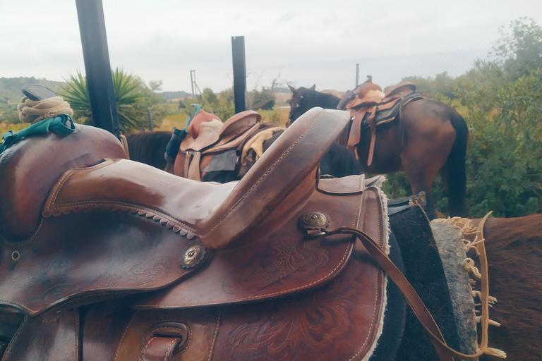 Odkryj wnętrze Walencji na koniu