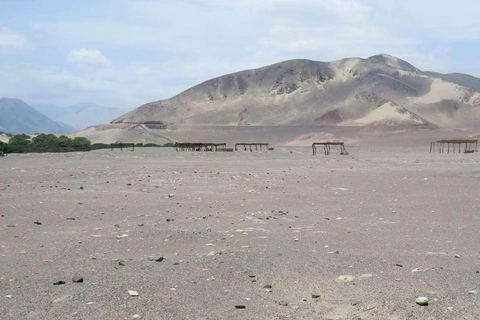From Nazca: Chauchilla Cemetery Tour and Artisans Workshop
