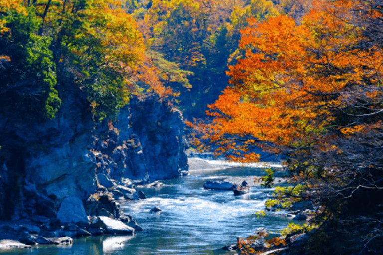 Tokyo: Nagatoro, Mitsumine Shrine & Waterfalls One-Day Tour