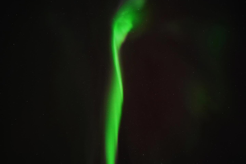 Northern Lights Rovaniemi Guaranteed & Unlimited KM Hunting