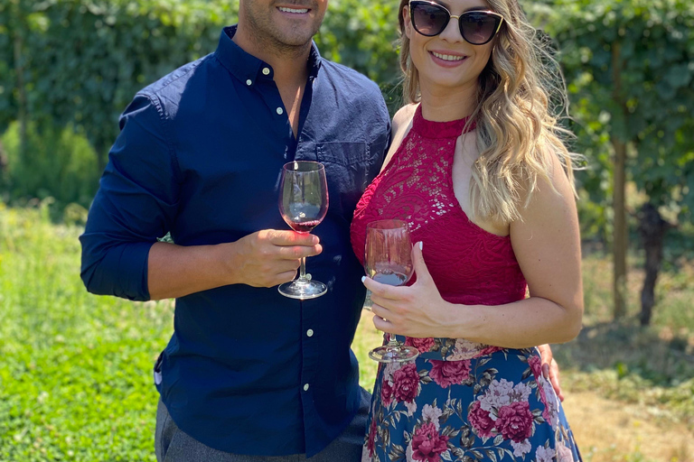 Oliver: Oliver Full Day Guided Wine Tour Oliver Full Day Guided Wine Tour