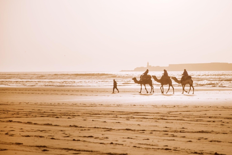Desde Agadir: Paseo en Camello y Excursión a los Flamencos