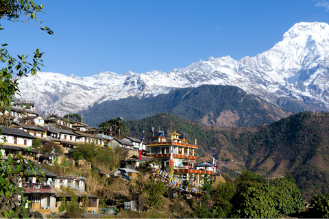 Ghorepani - Poon Hill Golden Horizon Trek from Kathmandu Customize Package