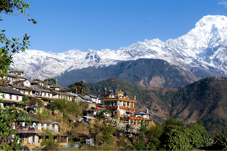 Ghorepani - Poon Hill Golden Horizon Trek from Kathmandu Customize Package