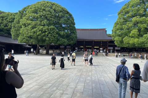 Tokyo City Highlights Tour With English Speaking Driver