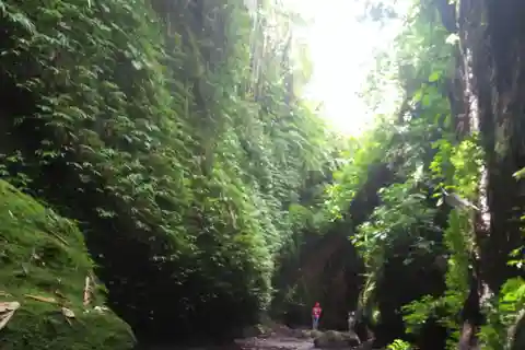 Bali: Tibumana, Tukad Cepung, Kanto Lampo i Tegenungan Tour