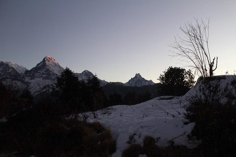 Från Pokhara Budget: 2 dagar 1 natt Ghorepani Poon Hill Trek