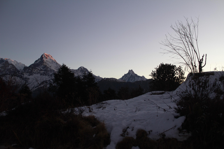 From Pokhara Budget: 2 Day 1 Night Ghorepani Poon Hill Trek