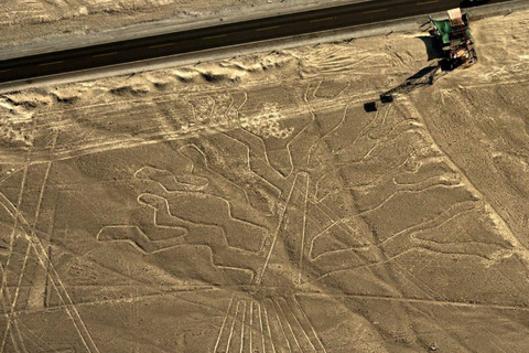 Depuis Lima : Vol charter de Nazca Lines depuis Lima