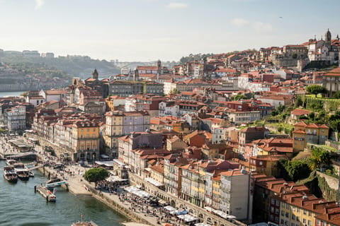 Porto: Private Historical Walking Tour with Local Guide