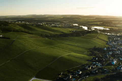 Luxembourg: Moselle Wine & Beaufort Castle Private Day Tour