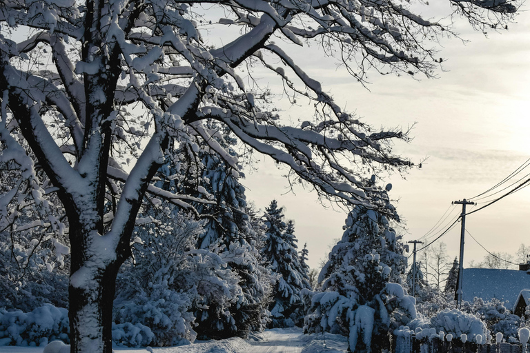 Tallinn: langlaufles met ophaalservice